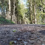 Lägenhet Im Malerischen