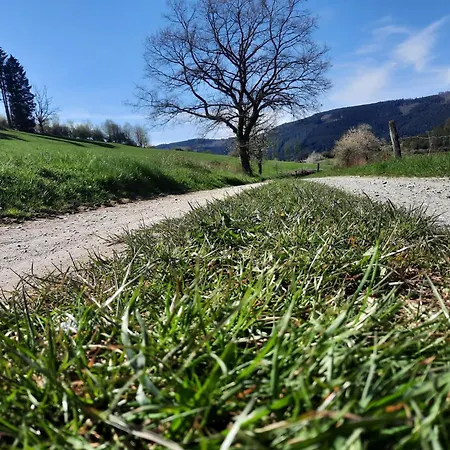 Im Malerischen Apartamento Eslohe